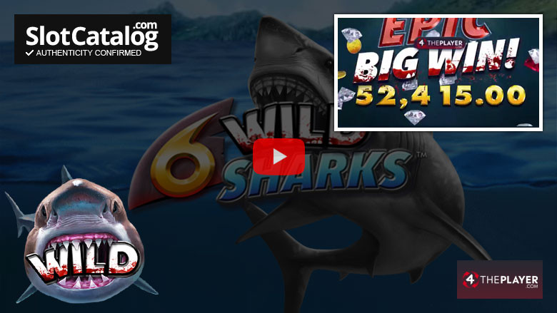 6 Wild Sharks slot Big Win October 2020