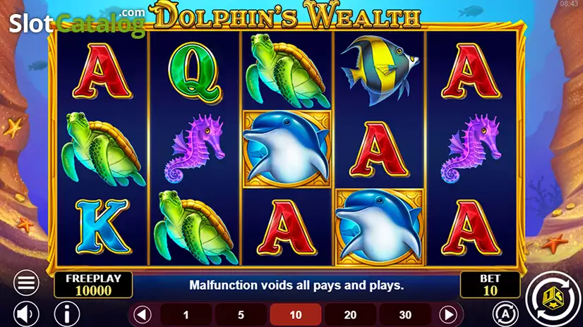 Dolphin’s Wealth