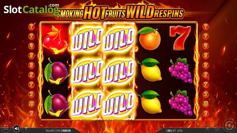 Smoking Hot Fruits Wild Respins Expanding Wild Win Screen